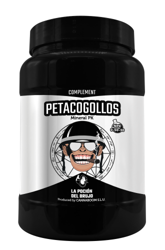 Petacogollos