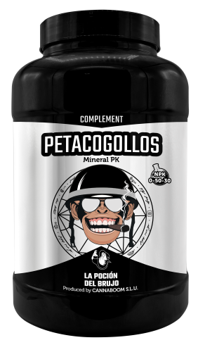 Petacogollos
