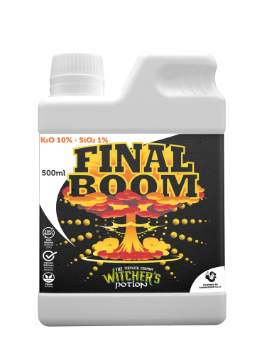 Final Boom