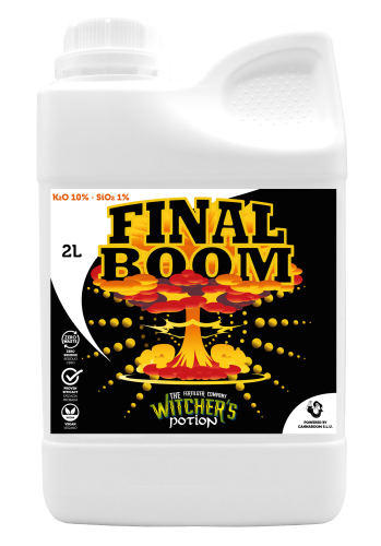 Final Boom