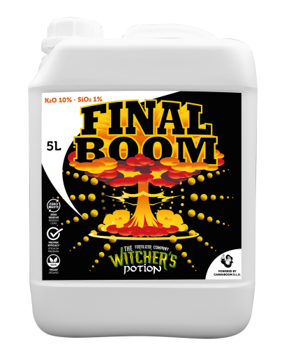 Final Boom