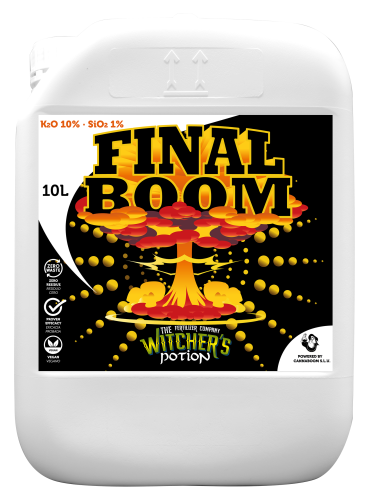 Final Boom
