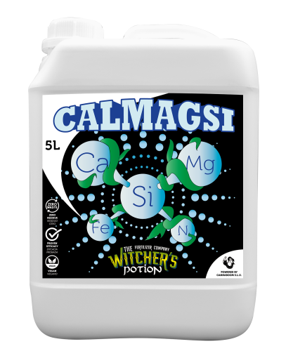 Calmagsi