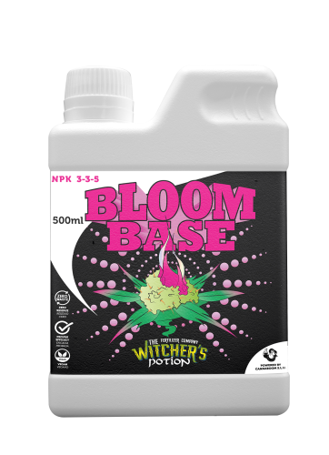 Bloom Base