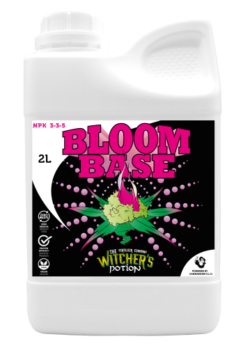 Bloom Base
