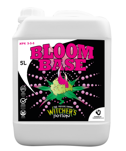 Bloom Base