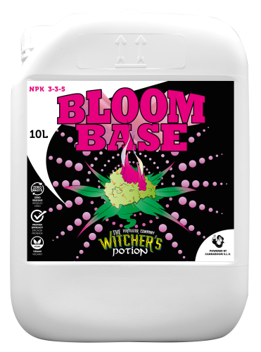 Bloom Base