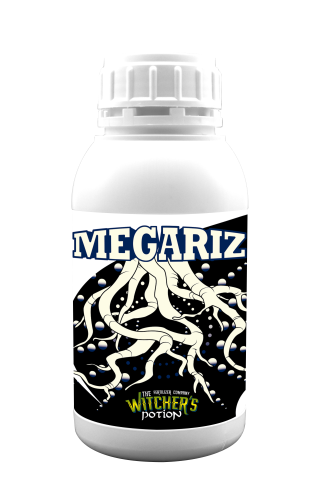 Megariz