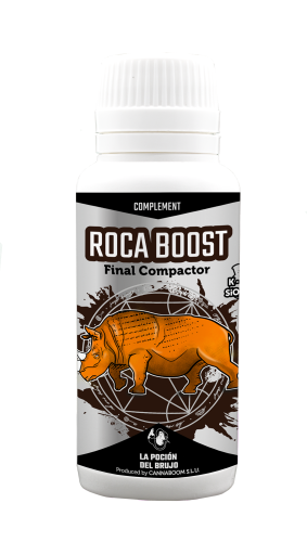 Roca Boost
