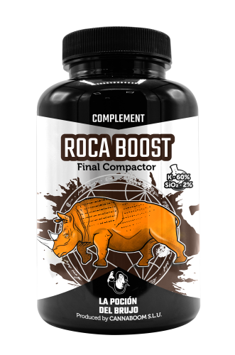 Roca Boost