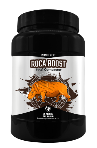 Roca Boost