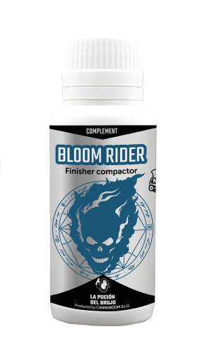 Bloom Rider