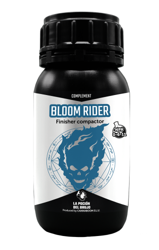 Bloom Rider