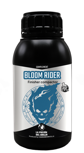 Bloom Rider