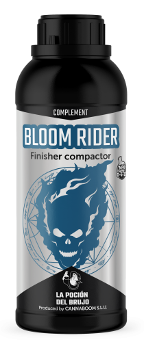 Bloom Rider