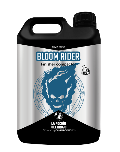 Bloom Rider