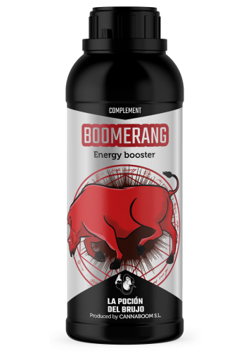 Boomerang