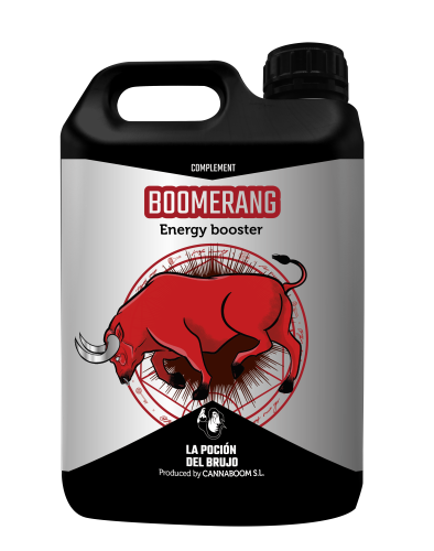 Boomerang