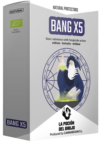 Bang X5