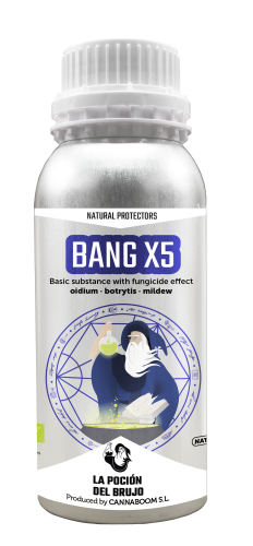Bang X5