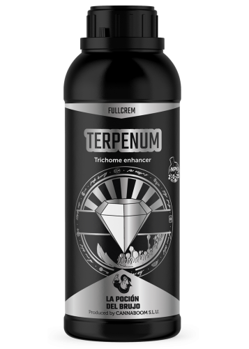 Terpenum
