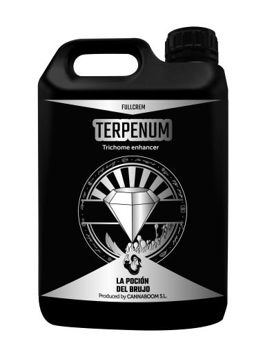 Terpenum