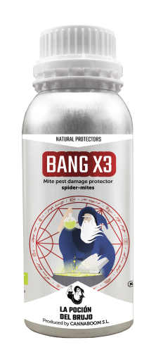 Bang X3