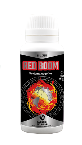 Red Boom