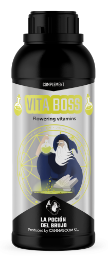 Vita Boss