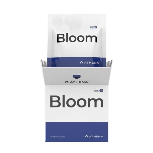Pro Bloom