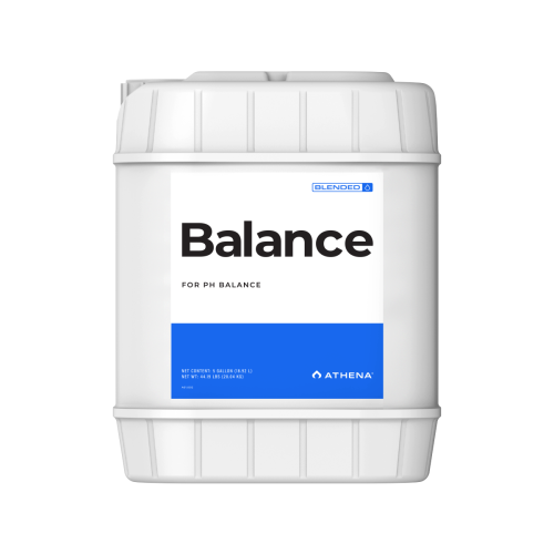 Balance