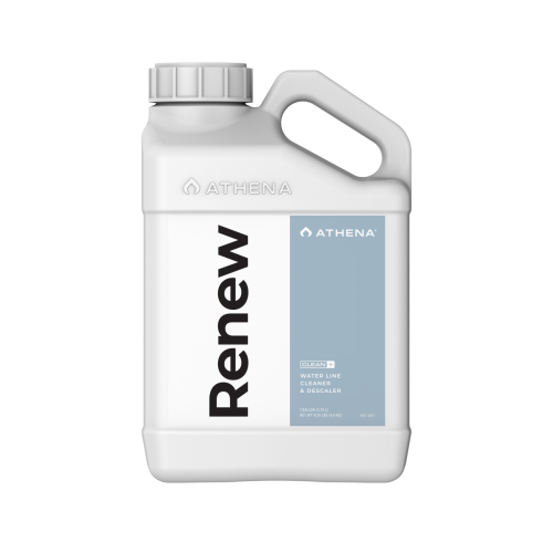 Renew