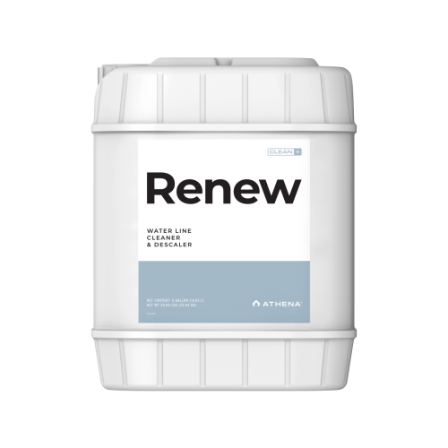 Renew