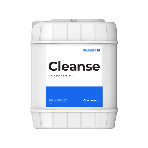Cleanse