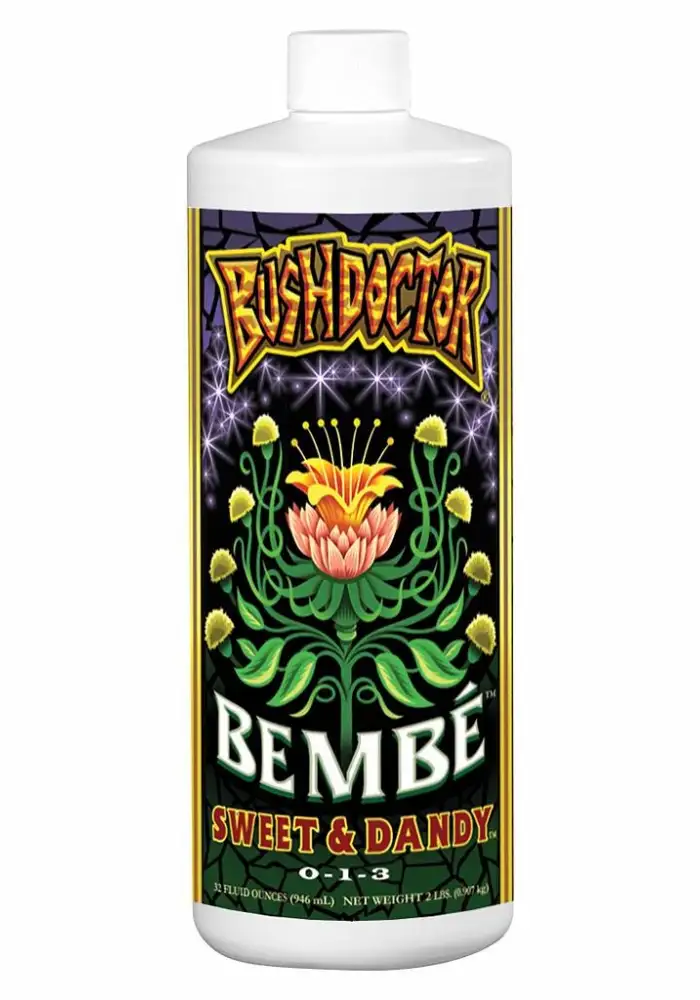 Bush Doctor Bembe Quart