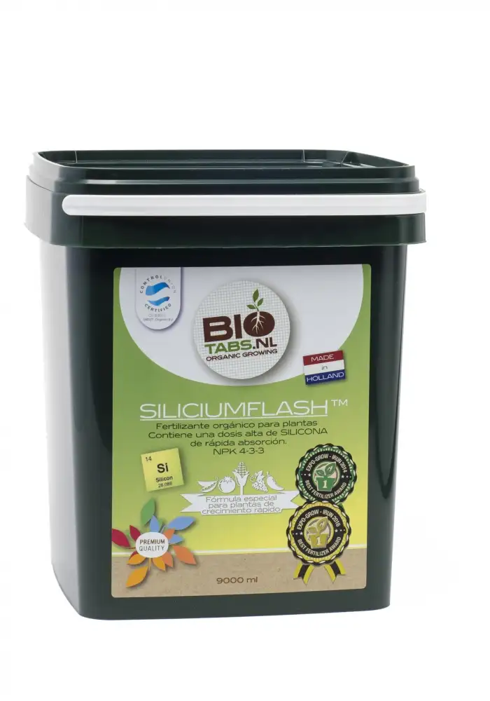 Silicium Flash