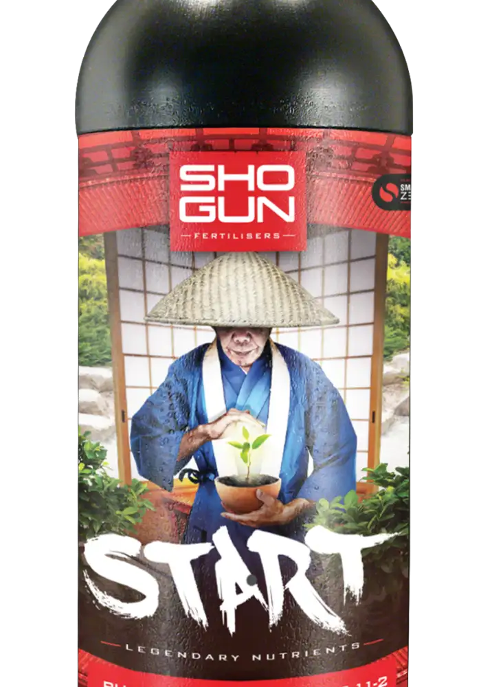Start