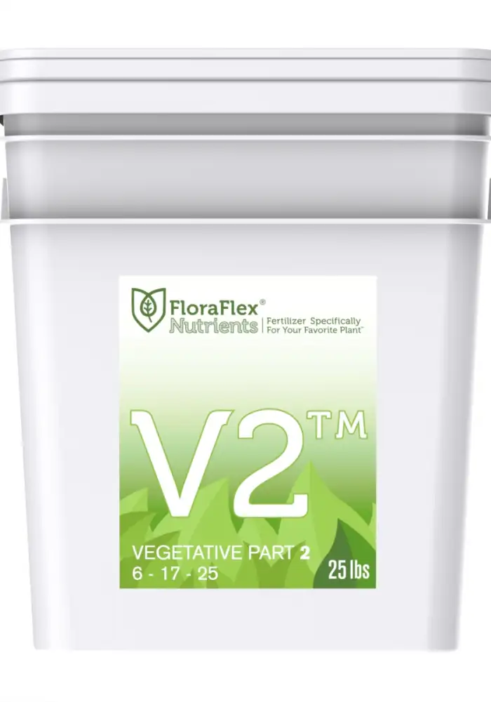 V2 Vegetative Part 2