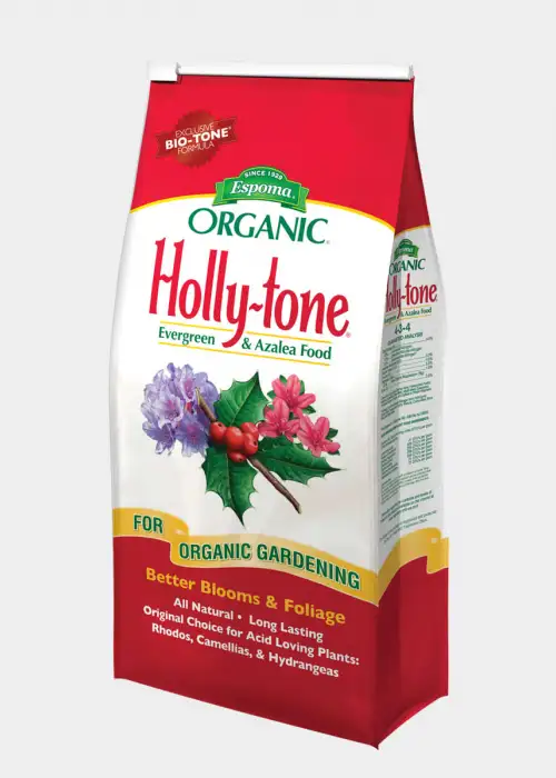 Holly-tone