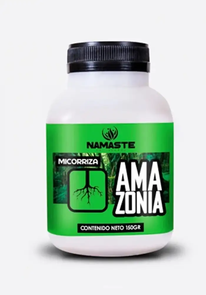 Amazonia Roots