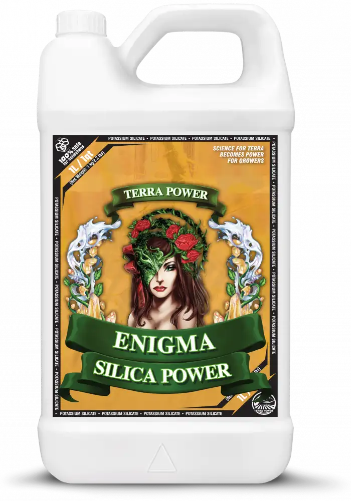 ENIGMA - SILICA POWER