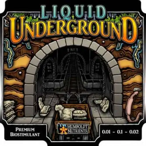 Liquid Underground