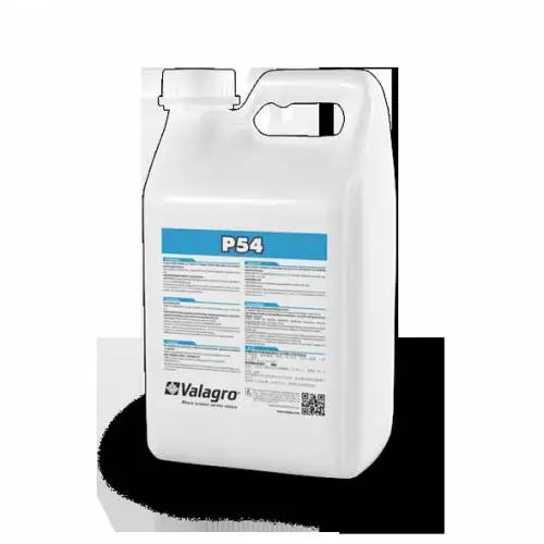 P54