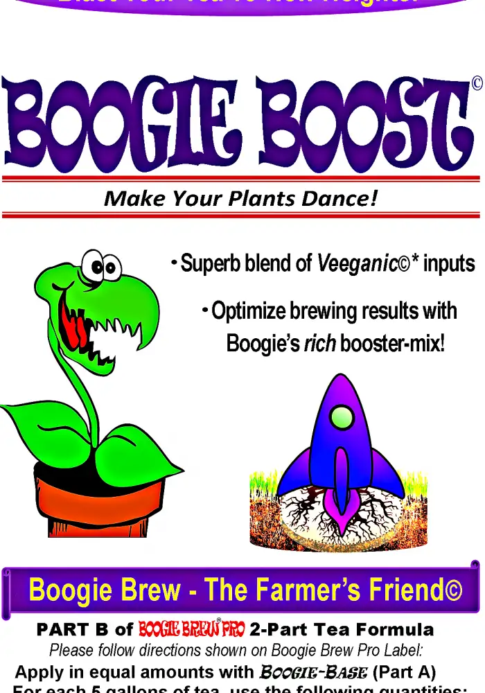 Boogie Boost
