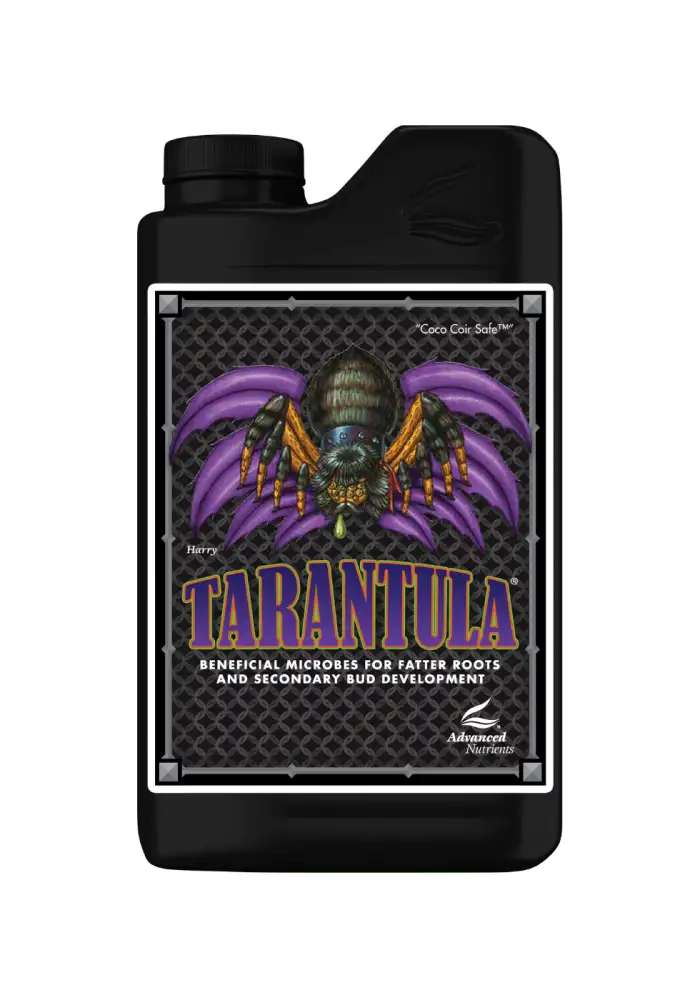 Tarantula