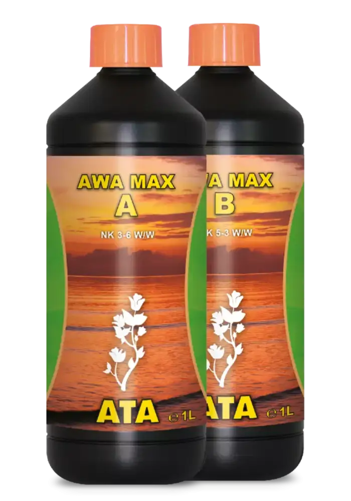 ATA AWA Max B