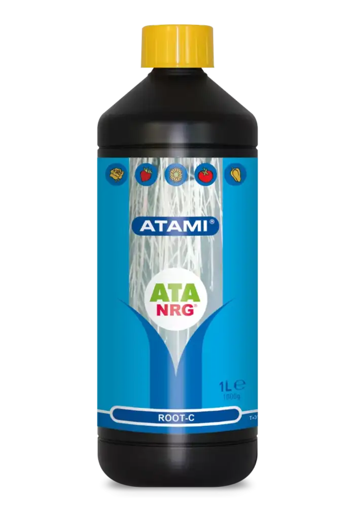 ATA NRG Root-C