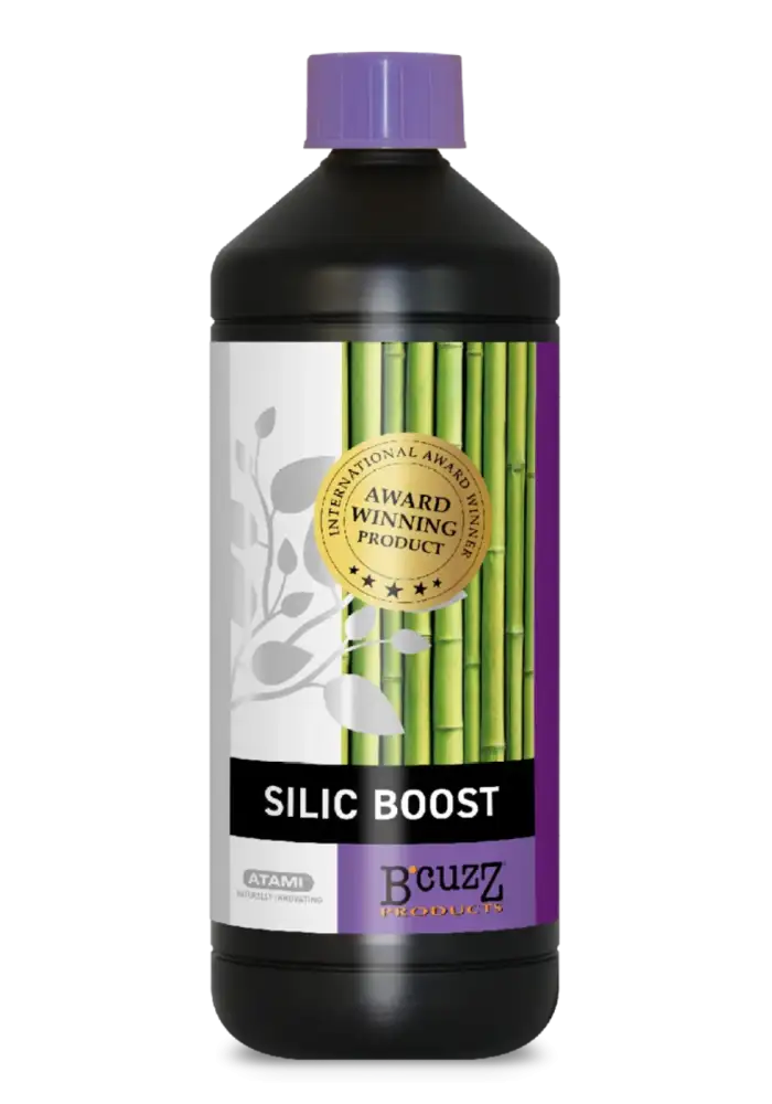 B'cuzz Silic Boost