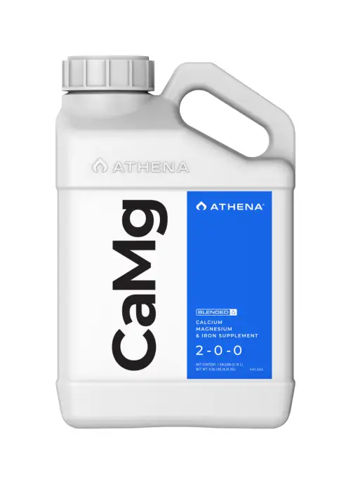 CaMg - Athena