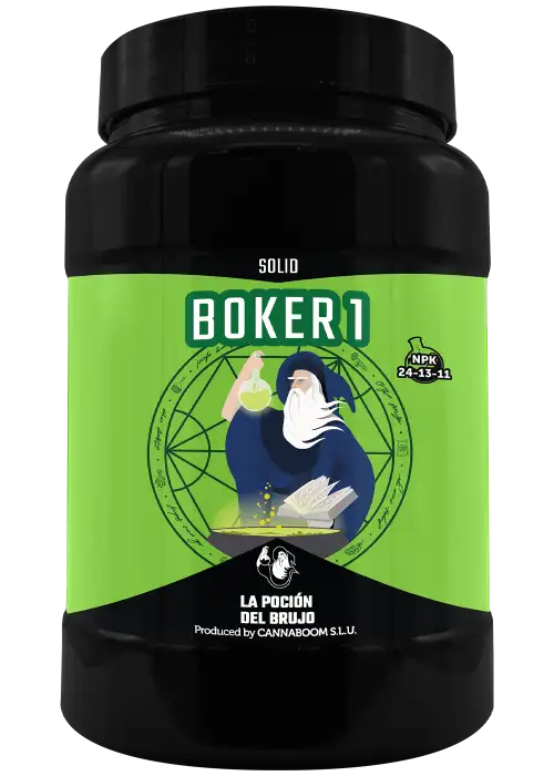 Boker 1
